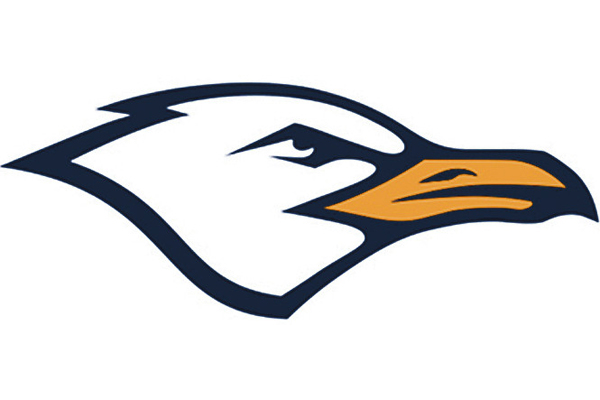 Seagulls-logo