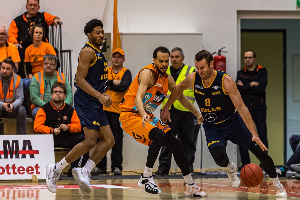 ehau_heinonentimo_seagulls_2019