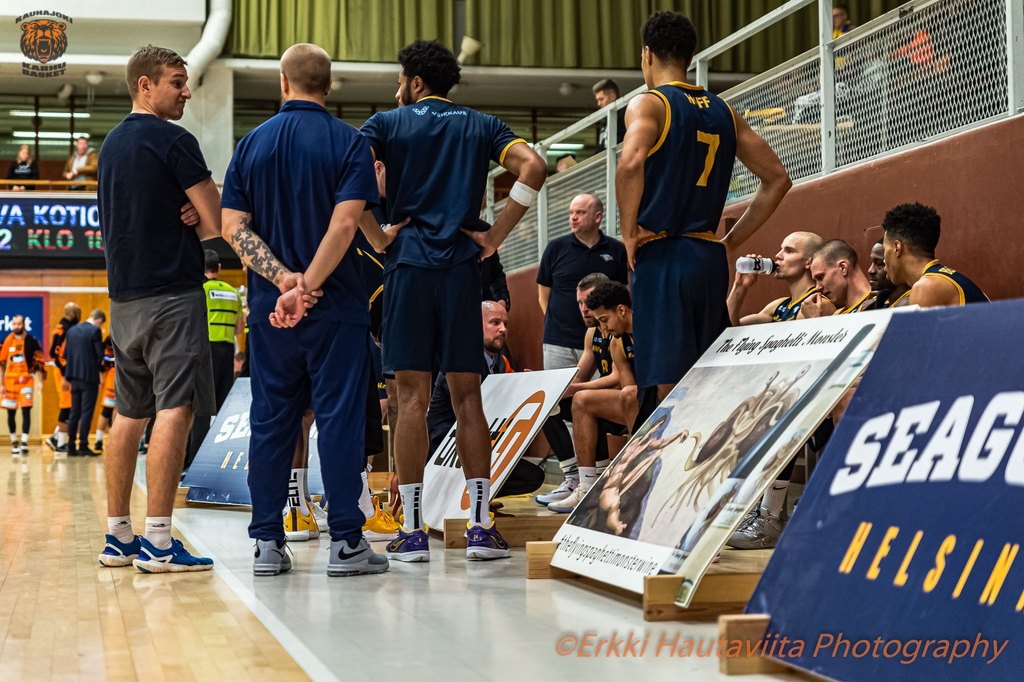 ehau_seagulls2019a
