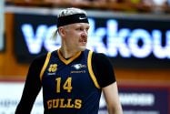 okko_jarvi_seagulls_aop